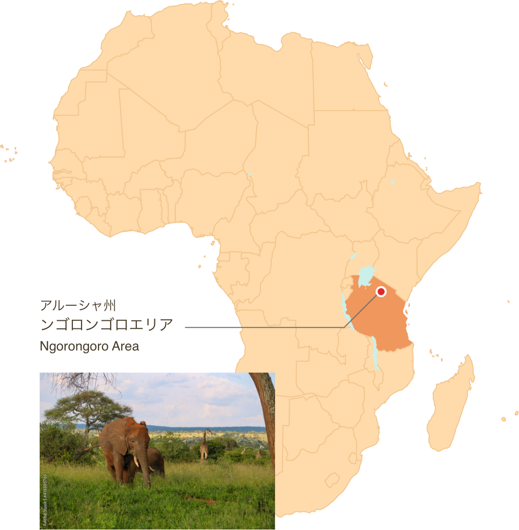 アルーシャ州ンゴロンゴロエリア